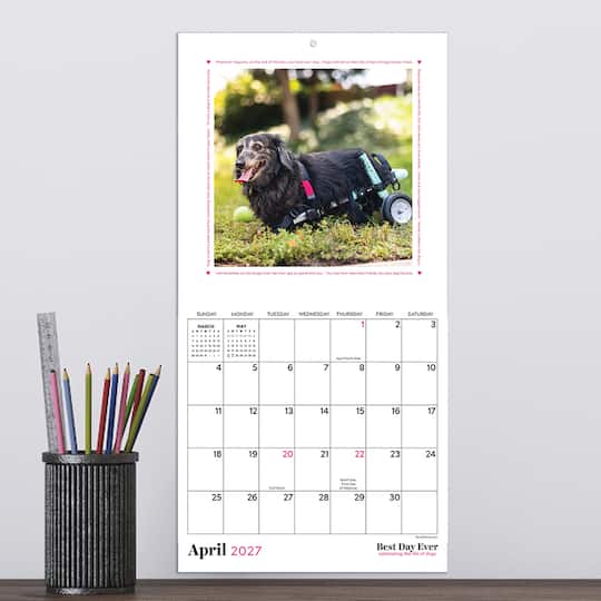 2027 Best Day Ever: Dogs Mini Calendar